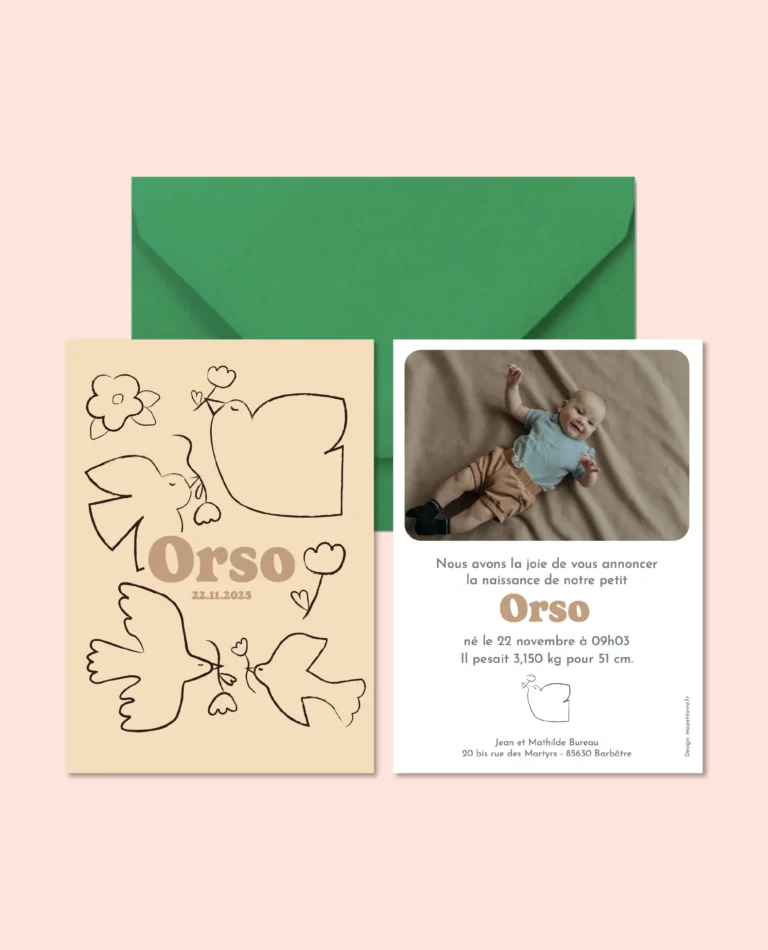 Faire part envolée poétique beige avec des oiseaux en contours marron et recto avec texte et photo du bébé